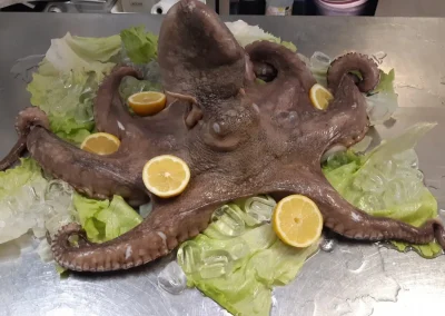 Ristorante piatti di pesce Stradella